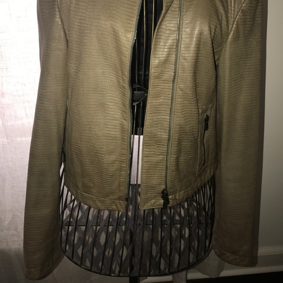 Leather Jacket - Picture 2 of 3